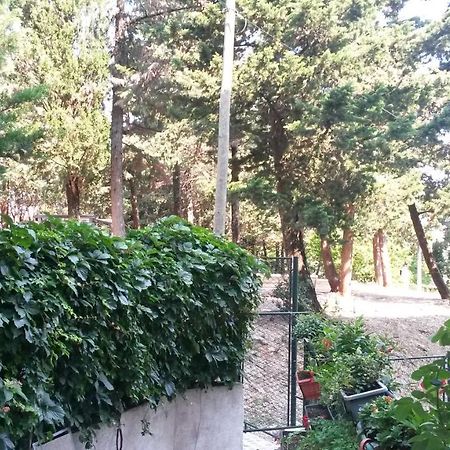 Anamarija Apartman Ragusa Esterno foto
