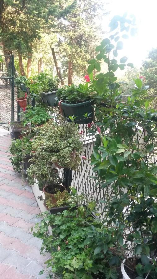 Anamarija Apartman Ragusa Esterno foto